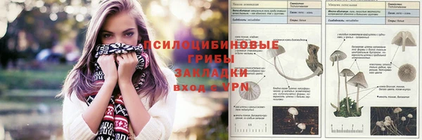 прущая мука Армянск