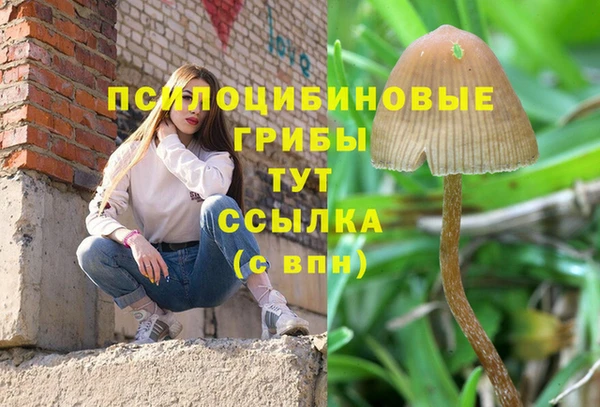 прущая мука Армянск