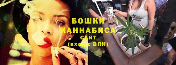 spice Арсеньев