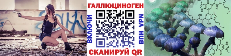Галлюциногенные грибы Magic Shrooms  наркота  Тогучин 